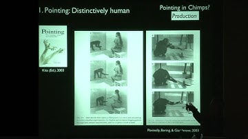 Kyoto University, Evolang IX Kyoto, Rafael Núñez, Mar. 13-16, 2012 -08