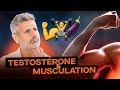6 conseils pour booster la testostrone et prendre du muscle