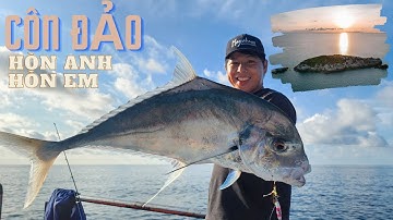 Hướng dẫn đi câu cá tại Côn Đảo cho người mới , Chi phí, thuê tầu, xem thời tiết  ! Dungleo Fishing.