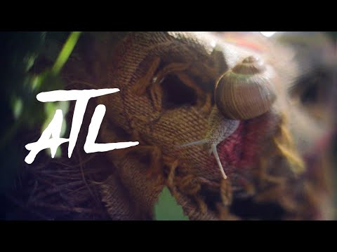 ATL - Волчья ягода (Неофициальный Клип 2020)