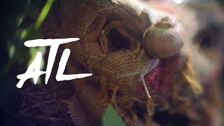 ATL - Волчья ягода (Неофициальный Клип 2020)