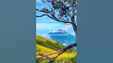 تلاوه من القران بصوت ياسر الدوسري #القرآن_الكريم #المصحف #قران #yasseraldossary #سورة #ياسر_الدوسري