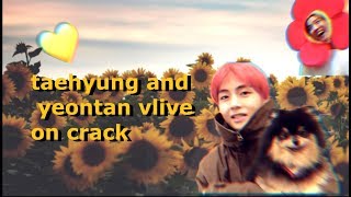 BTS taehyung and yeontan vlive on crack