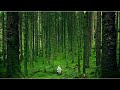 Epic Fantasy Adventure Music Mix l Classical Adventure