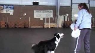 Flip Catch Training with Blade
