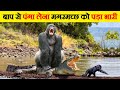 जब मगरमच्छ ने गलत जानवर से पंगा ले लिया | When Crocodile and Alligators Messed With Wrong Opponents