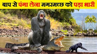 जब मगरमच्छ ने गलत जानवर से पंगा ले लिया | When Crocodile and Alligators Messed With Wrong Opponents