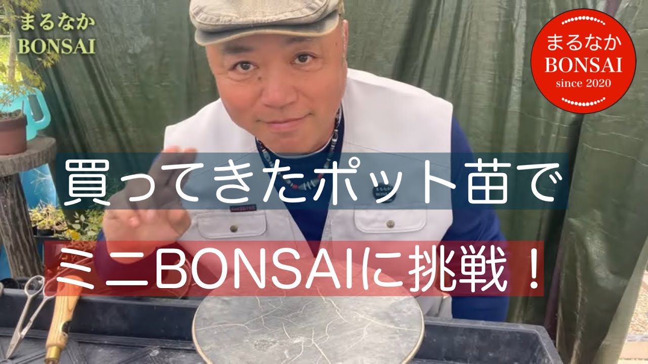 310 買ってきた物で、ミニBONSAIを作ります。 【ミニ盆栽】 - YouTube