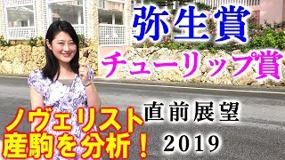 【競馬】 弥生賞 2019 チューリップ賞 直前展望（23年連続勝ち馬は〇〇馬！） ヨーコヨソー