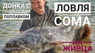 Ловля сома на живца. Донка с подводным поплавком(Видео о вязании стасточки euro-som для ловли сома: https://www.youtube.com/watch?v=ENa2stPfGsA Видео о вязании крючков методом Noknot:..., 2016-06-02T08:17:18.000Z)