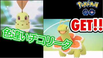 تحميل チコリータ 色違い Mp4 Mp3 تحميل チコリータ 色違い Mp4 Mp3