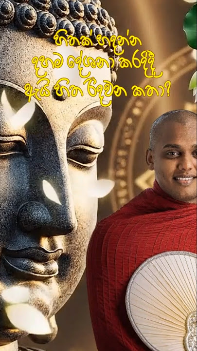 නැගිටින්න ඕන තැනදි වැටෙන්න හේතු ගළපන්න එපා #kathnoruwe #kathnoruwehimi #foryou #trending #foryou