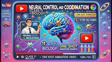 CBSE Klas 11 || Biologie || Neurale controle en coördinatie || Animatie || in het Engels