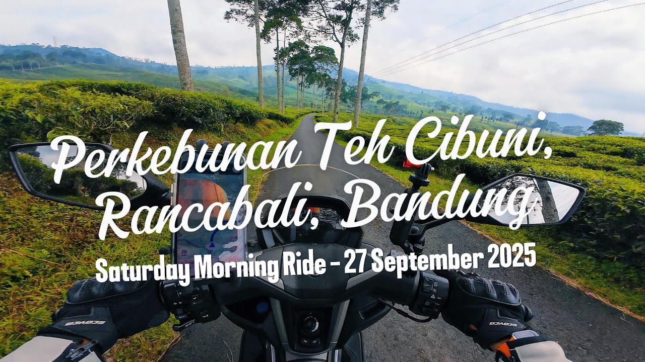 Satmori Terjauh - Perkebunan Teh Cibuni, Rancabali, Bandung | 2025