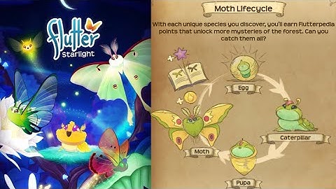 Flutter Starlight - Game about Moth