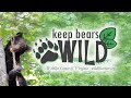 Keep Bears Wild
