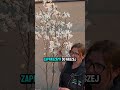 Magnolia Donna- obłędny zapach