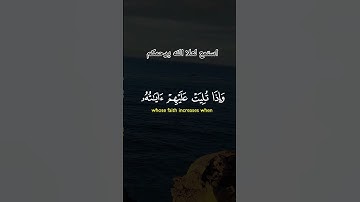 #استمعوا_وانصتوا_لعلكم_ترحمون #اللهم_صل_وسلم_على_نبينا_محمد #تلاوة_خاشعة #القرآن_الكريم #اكسبلور