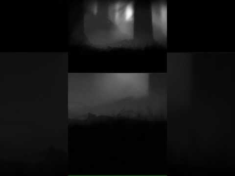 advanture | limbo #gameplay #limbo