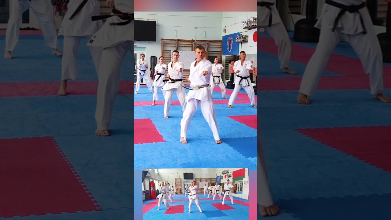 Ren Tsuki Gyaku Tsuki Ren Tsuki #karate #piatsko #sensei #martialarts #空手道 #punch #budo #karatecoach