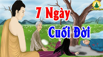 Kể Truyện Đêm Khuya, Bật Khóc Vì Câu Chuyện Duyên Tận Sau 7 Ngày - Chuyện Phật giáo Hay Nhất