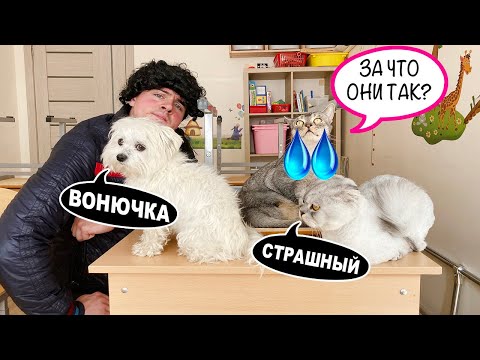 КОТА БЕЗ ЛАПКИ ДРАЗНЯТ В ШКОЛЕ! 2 СЕРИЯ
