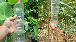 How to make drip irrigation with plastic bottles, can be done for free