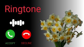 Incoming Call Ringtone | Hindi Song Ringtone | Ringtone Download | Best Ringtone | Trending Ringtone