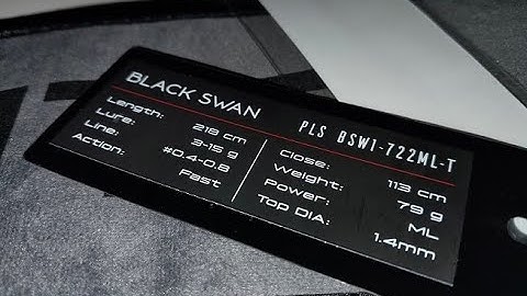 New Rod Test in Extreme Fog — But Where Did the Fish Disappear?!