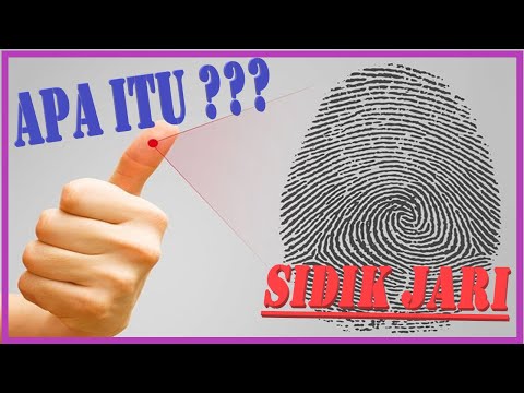 Kupas Tuntas Sidik Jari | Proses Terbentuknya dan Kegunaannya