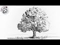 Como dibujar desde Cero #8 Como Dibujar un Arbol Realista CON HOJAS