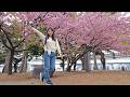 Tokyo Live Sakura River Walk Shibuya Scramble Crossing Women S Run Lots More mp3