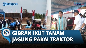 Dukung Program Ketahanan Pangan, Wapres Gibran Ikut Tanam Jagung Pakai Traktor di Tangerang