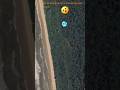 I Found amazing things under amazon jungle