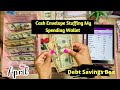 Cash stuffing   cash envelope stuffing  savings challenge box  debt   2022  apinkeclothlife