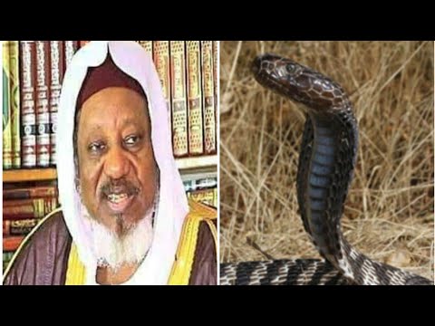 FASSARAR MAFARKIN MACIJI