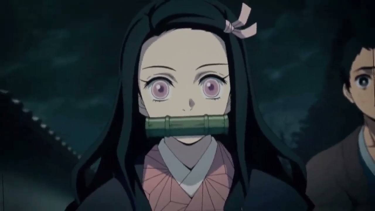 daily nezuko (@nezukoeveryday) / X