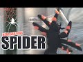 SPIDER PRANK (REMI GAILLARD)