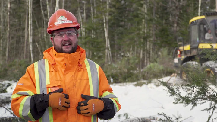 New Brunswick Forester Caleb Waite Loves His Office