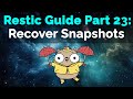 Restic Guide Part 23:  Recovering Deleted Snapshots
