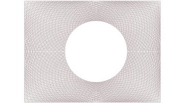 Decisions to be made in the design of gridshell structures - Chris Williams