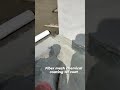 Video Image