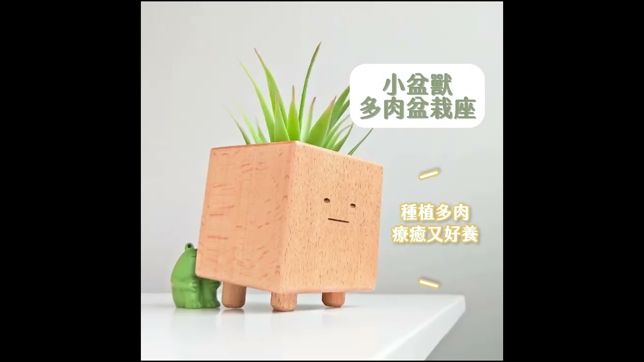 綠植辦公小物 縮圖