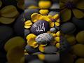 ماهو دينك بصوت طفل Like Subscribe Shorts صلو على نبينا وحبيبنا محمد صلى الله عليه وسلم ماهو دينك بصوت طفل Like Subscribe Shorts صلو على نبينا وحبيبنا محمد صلى الله عليه وسلم