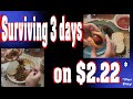 Living Off $2.22 Per Day (3days)