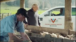 Coglavax8 8in1 Clostridial Vaccine - Extended