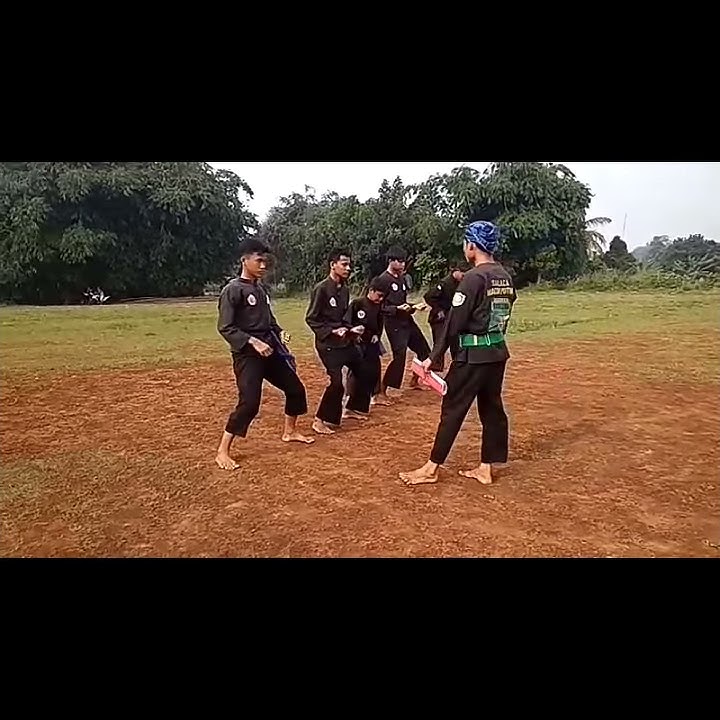 Story' WA PESILAT SALACA MACAN PUTIH.