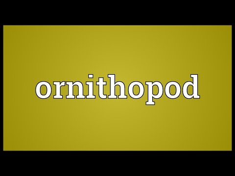 Header of ornithopod