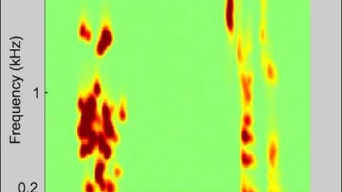 Reconstructing from brain activity the words a person hears