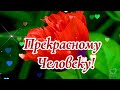 ПОЖЕЛАНИЯ ПРЕКРАСНОМУ ЧЕЛОВЕКУ....💌🌹🌹🌹🌹🌹🌹🌹🌹🌹🌹🌹